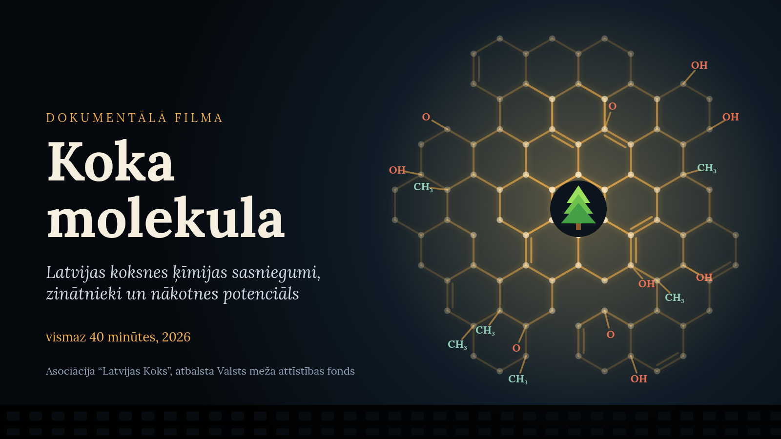 Dokumentālā filma “Koka molekula” 
